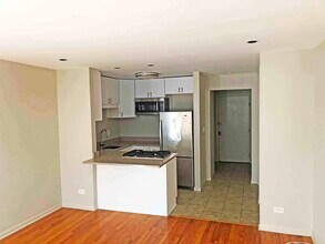 455 W Saint James Pl, Unit 504 in Chicago, IL - Building Photo - Building Photo