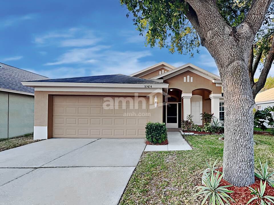 10424 Soaring Eagle Dr in Riverview, FL - Building Photo