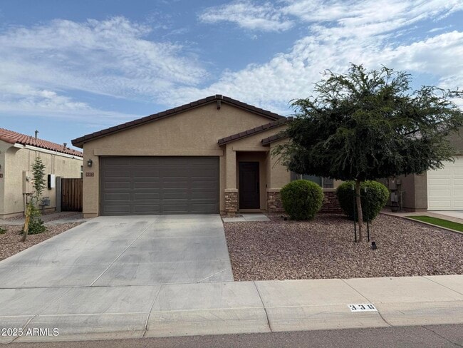 336 W Tenia Trail in San Tan Valley, AZ - Building Photo - Building Photo