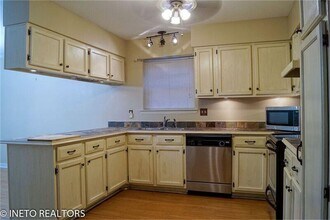 29 Coralberry Ct in The Woodlands, TX - Building Photo - Building Photo