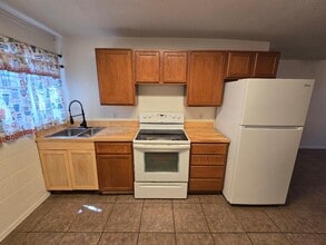 201 W Hagerman St in Carlsbad, NM - Building Photo - Building Photo