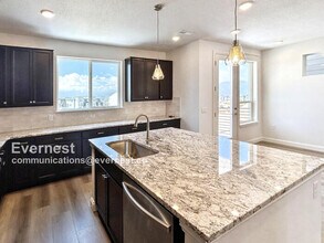 10729 Lewanee Pt in Colorado Springs, CO - Building Photo - Building Photo