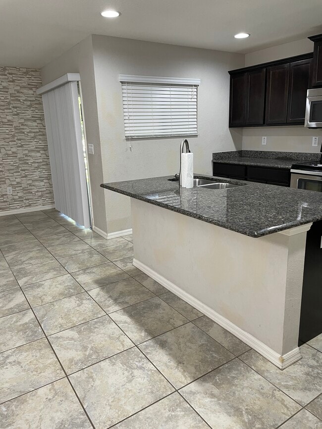 27515 Desert Willow Way in Wesley Chapel, FL - Foto de edificio - Building Photo