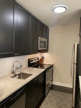 535 N Michigan Ave in Chicago, IL - Building Photo - Building Photo