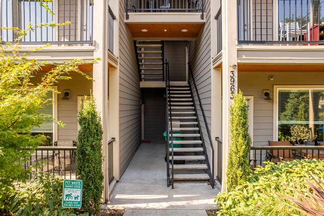 Montana Apartments in Portland, OR - Foto de edificio - Building Photo