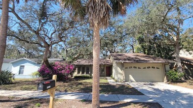 14712 Tall Tree Dr in Lutz, FL - Building Photo - Building Photo