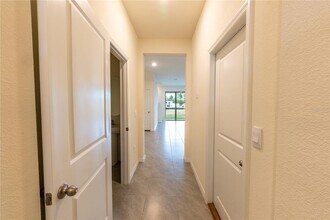 33027 Tulip Petal Ln in Wesley Chapel, FL - Building Photo - Building Photo