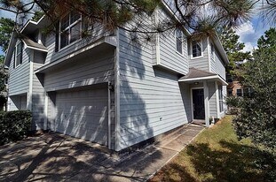 74 Blue Creek Ct in Spring, TX - Building Photo