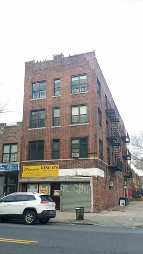 1097 Clarkson Ave in Brooklyn, NY - Building Photo