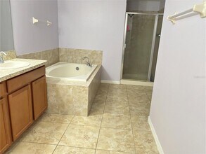20042 Date Palm Way in Tampa, FL - Building Photo - Building Photo