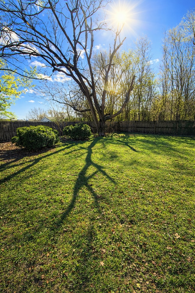 311 Morris St in Fruitland, MD - Building Photo - Building Photo