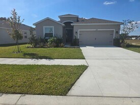 6779 Flint Crk Dr in Land O Lakes, FL - Building Photo