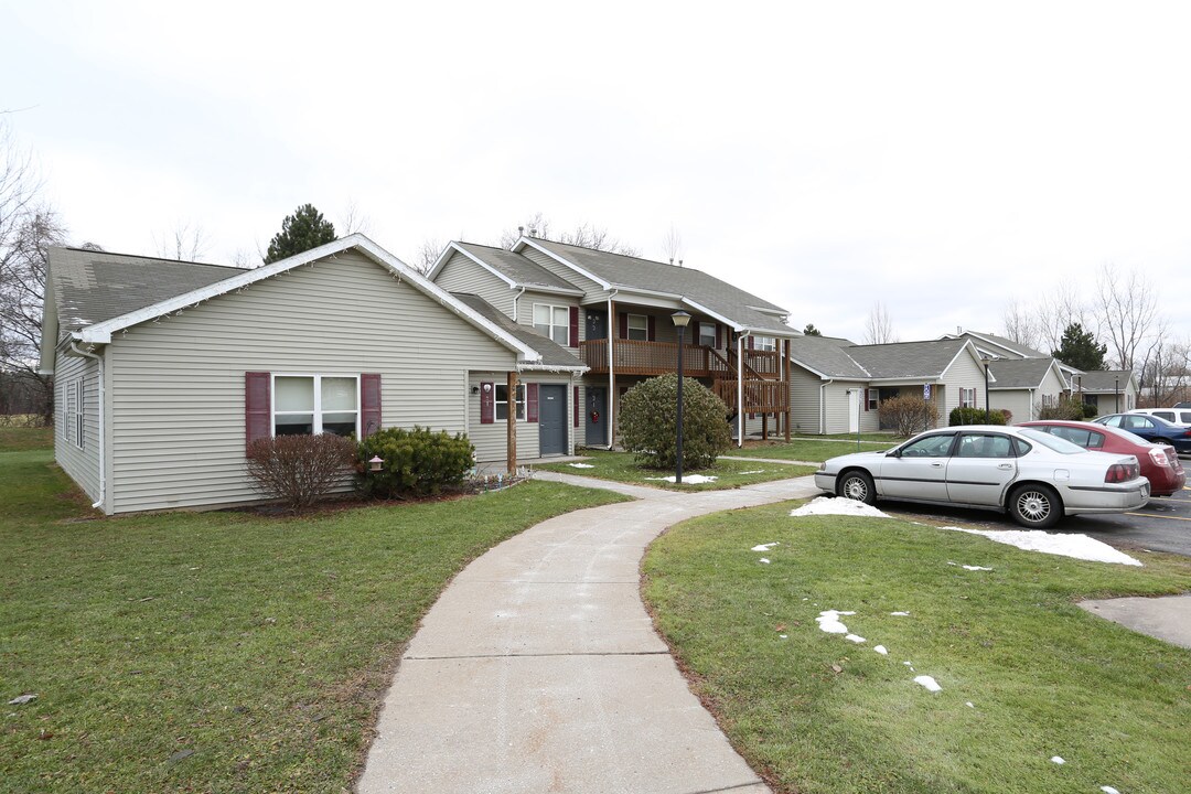 Sandy Creek Apartments in Albion, NY - Building Photo