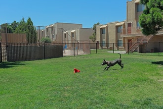 La Estancia in El Paso, TX - Foto de edificio - Other