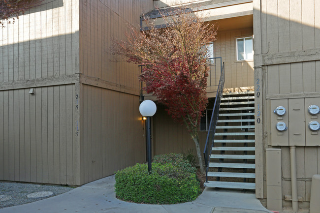 Park Place Apartments in Fresno, CA - Building Photo - Building Photo