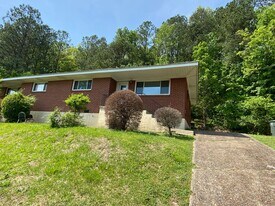 3255 Conner St in Chattanooga, TN - Building Photo