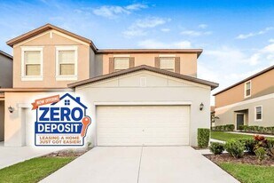 14223 Riva Ridge Pl in Ruskin, FL - Building Photo