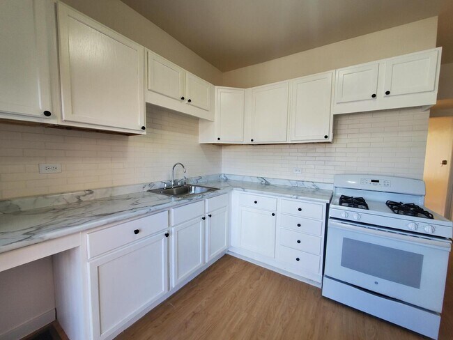 3751 N Troy St in Chicago, IL - Building Photo - Building Photo