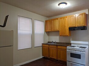 5321 S Damen Ave in Chicago, IL - Building Photo - Building Photo