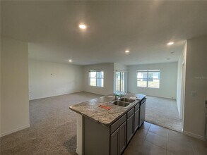 1629 Reddish Egret Ct in Davenport, FL - Building Photo - Building Photo