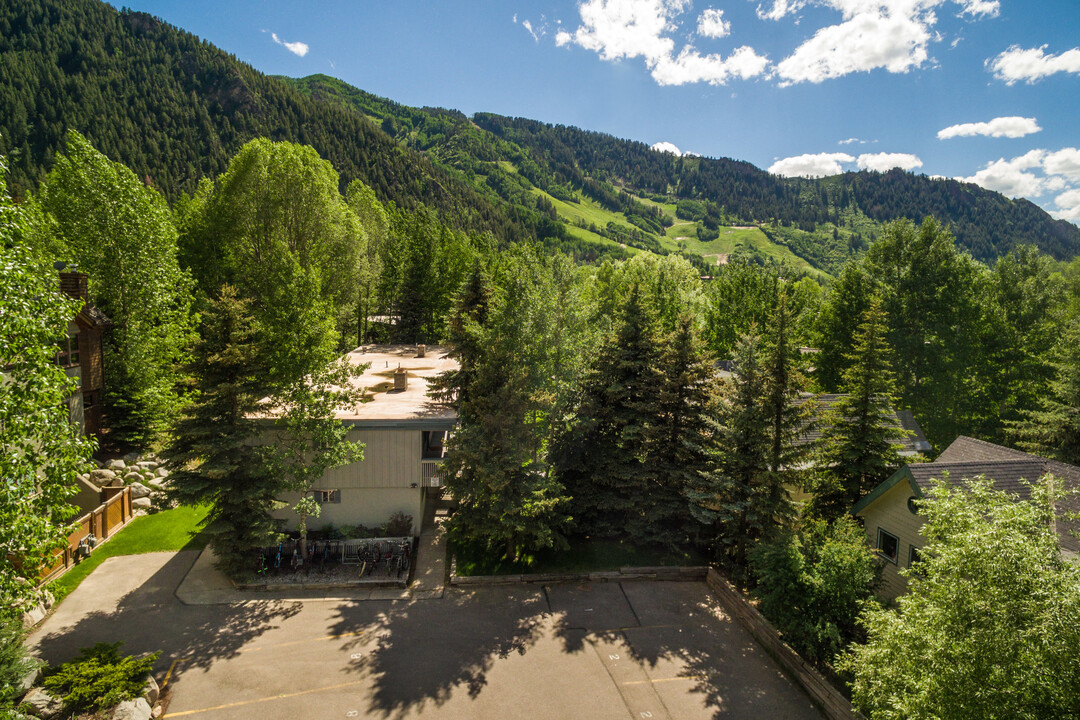 1235 E Cooper Ave in Aspen, CO - Building Photo