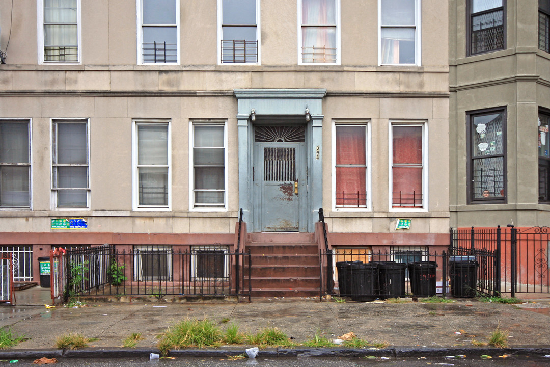 393 Chauncey St in Brooklyn, NY - Building Photo