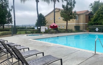 24909 Madison Ave in Murrieta, CA - Building Photo - Building Photo