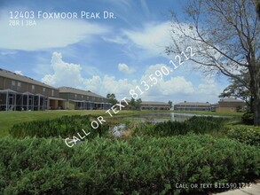 12403 Foxmoor Peak Dr in Riverview, FL - Foto de edificio - Building Photo