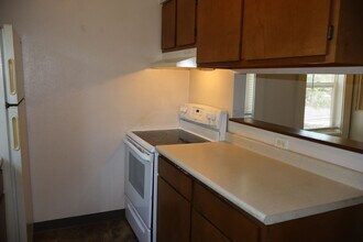411 E Plum St in Fort Collins, CO - Building Photo - Building Photo