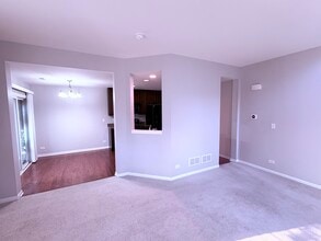 241 Devoe Dr in Oswego, IL - Building Photo - Building Photo