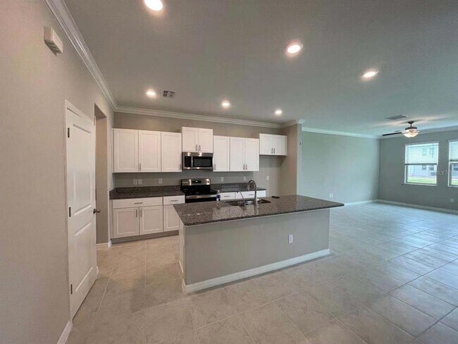31993 Blue Passing Loop in Wesley Chapel, FL - Building Photo - Building Photo