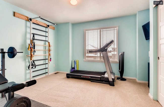 12932 Norway Maple St in Parker, CO - Foto de edificio - Building Photo