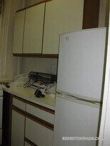 313 Allston St, Unit 5 in Boston, MA - Building Photo