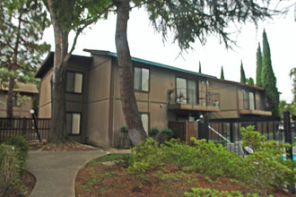 Quail Terrace Apartments in Stockton, CA - Building Photo - Building Photo