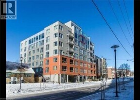 321 Spruce St in Waterloo, ON - Building Photo