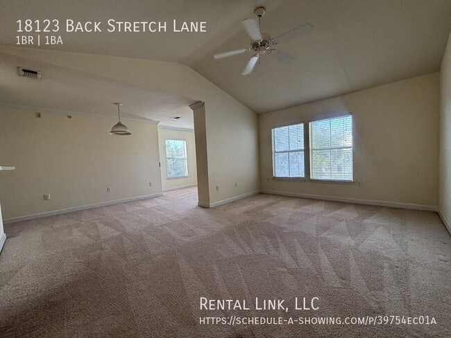 18123 Back Stretch Ln in Tampa, FL - Building Photo - Building Photo