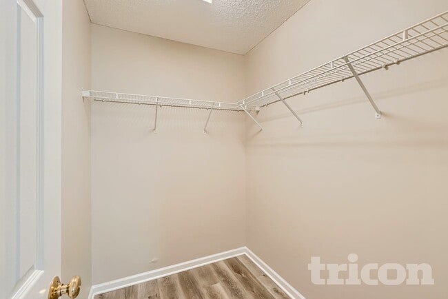 3915 Cornus Ln in Charlotte, NC - Foto de edificio - Building Photo