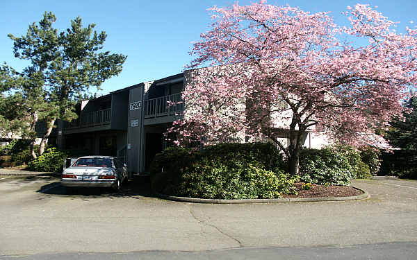 7920 168th Ave NE in Redmond, WA - Foto de edificio - Building Photo