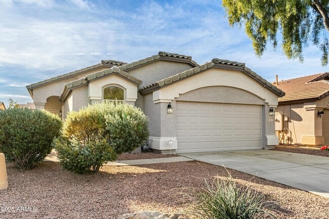 911 E Lovegrass Dr in San Tan Valley, AZ - Building Photo - Building Photo