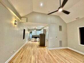 2009 W 17th St in Chicago, IL - Building Photo - Building Photo