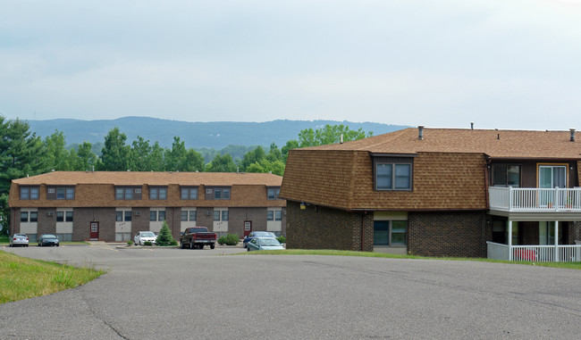 The Meadows Apartments in Vestal, NY - Foto de edificio - Building Photo