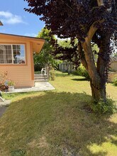 2303 B St in Eureka, CA - Building Photo - Building Photo