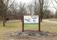 Northern Woods