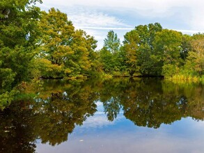 Park at Armand Bayou in Houston, TX - Building Photo - Building Photo