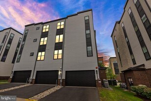 43443 Croson Ln in Ashburn, VA - Building Photo