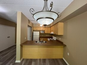 24 Harris Av in Brantford, ON - Building Photo - Building Photo