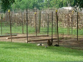 2445 Precinct Line Rd in Richmond, TX - Building Photo