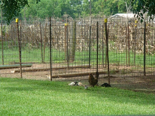 property at 2445 Precinct Line Rd