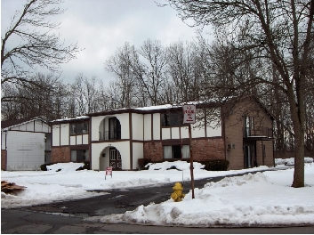 216 Denrose Dr in Amherst, NY - Foto de edificio
