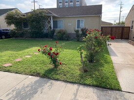 8624 Lilienthal Ave in Los Angeles, CA - Building Photo